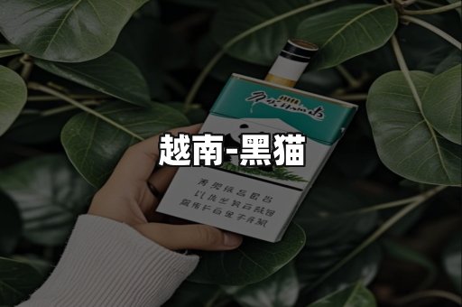 越南黑猫